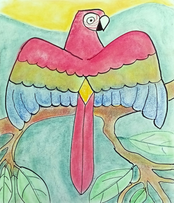 Beginner bird drawing