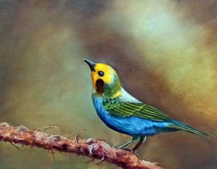 oil painting bird