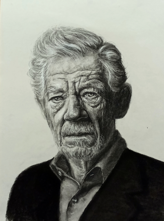 charcoal portrait study