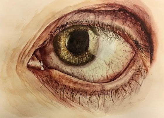 watercolor painting OF EYE