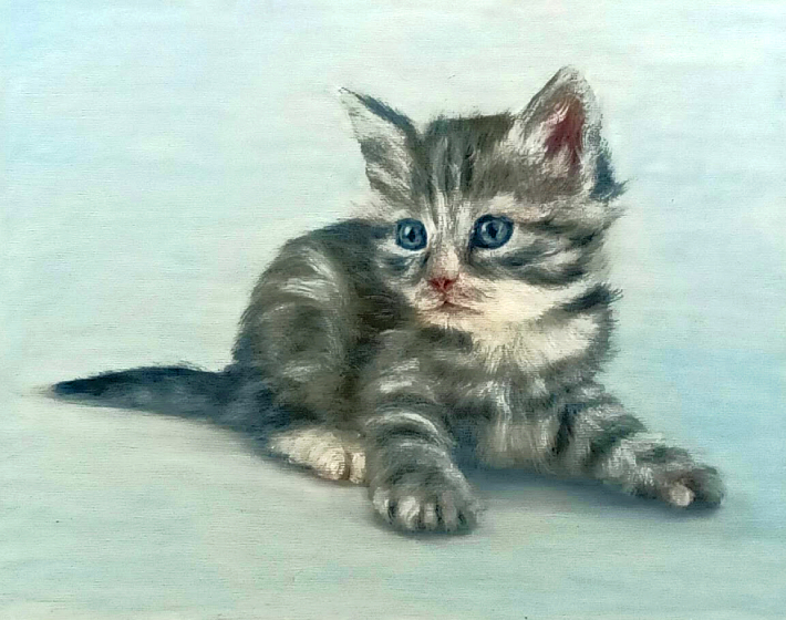 Cat Oil Painting 