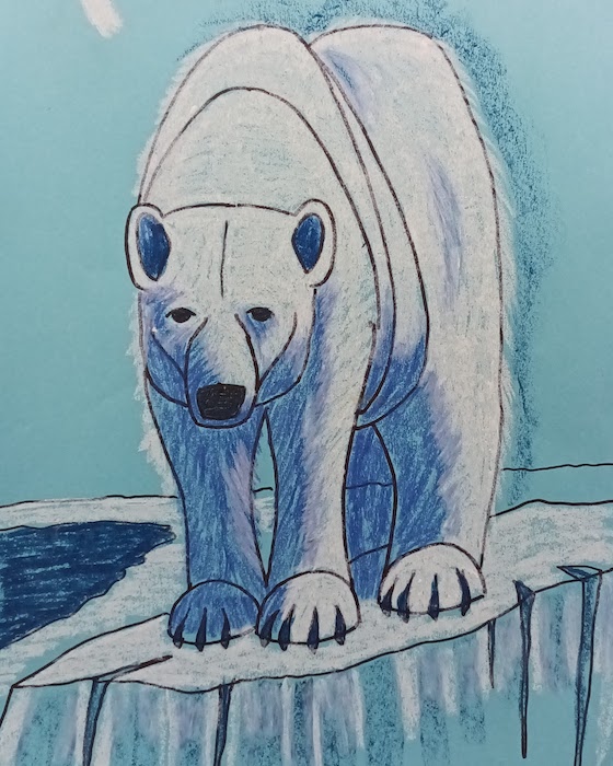 Basic one polar bear drawing