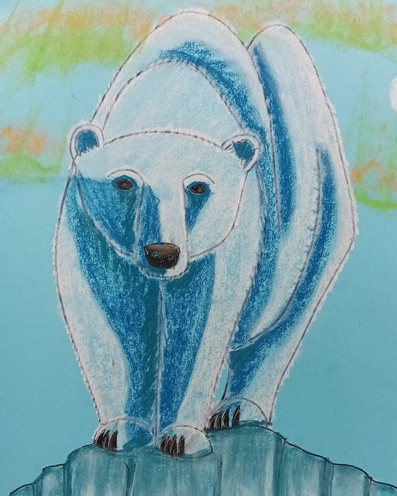 Beginner Polar Bear Drawing