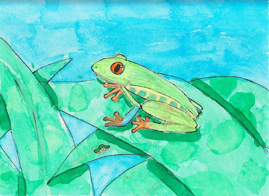 Frog & worm in pen & watercolor wash