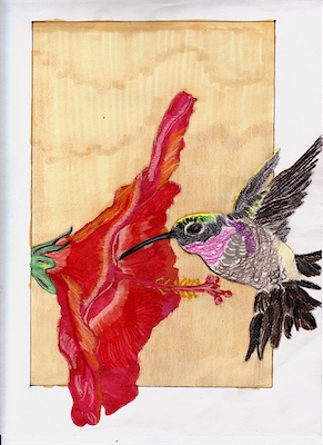 Hummingbird and flower w/border, pen, marker & colored pencil