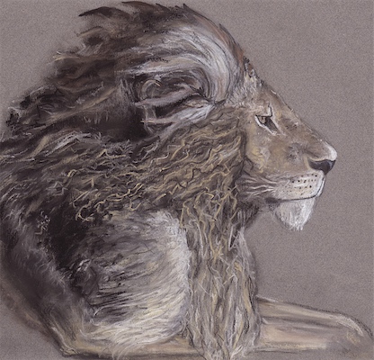 Lion in soft pastel