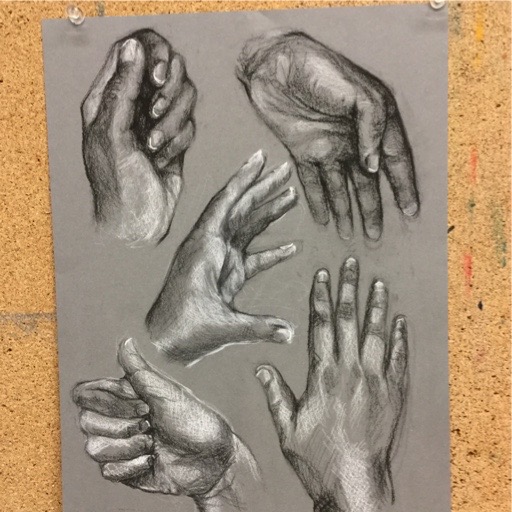 charcoal hand study