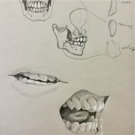 open mouth drawing study