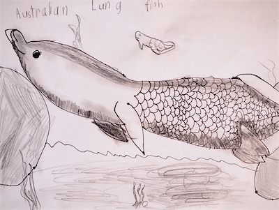 Christine T., Age 7 — Australian Lungfish — Basic Drawing