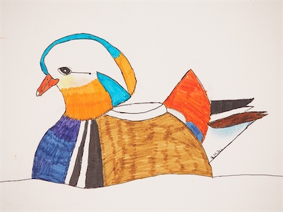 Rebecca Alexander, Age 10 — Duck in a Pond — Intermediate Drawing