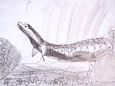 Taotao L., Age 6 — Australian Lungfish — Basic Drawing