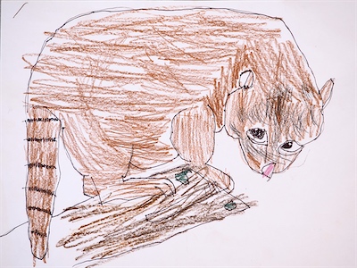 Theo Huff, Age 7 — Coati — Basic Drawing