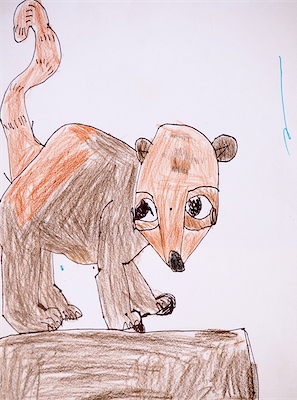 Zoe Zheng, Age 6 — Coati — Basic Drawing